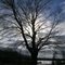 huron country i