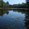 Quiet Pond