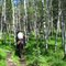 Aspen Forest Trail Ride