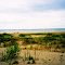 McGreagor Point Provincial Park