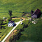 Country Farm