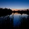 The Beaver Pond