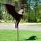 mettel bird