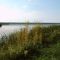 Tiny Marsh Ont. Canada