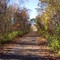 Vic Harbour Trail