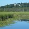 The Wye Marsh (Martyrs' Shrine in background), Midland