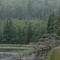 Rossport: South side of Quarry Island