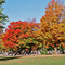 Cemetery, Shelburne ON.