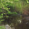 Hunts Pond Preserve