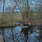 Ronkonkoma County Park