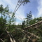 August 6, 2006 Storms