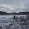 Winter 2006