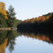 Bottle Creek, Fall 2008
