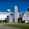 Seelby Holsteins