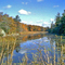Leo Lake Creek at Cranberry Lake, on the Rideau