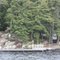 Lake Rosseau cottages