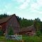 Old barns Craigmount Ontario