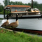 Iroquois Marina, South Dundas, ON, Canada