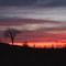 Spring Evening