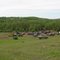 Mudfest