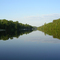 Birchwood Trail Area (Fleming's Landing)