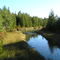 Stream flowing into Cyprus Lake, viewed from bridge
