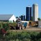 Carleton Place - a farm