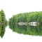 Beautiful Afternoon Paddling on the Pickerel River, Near Ess Narrows on the Lost Channel