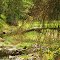 Beaver Landscaping on Smoky Creek