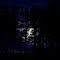 Moonlit night.