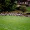 A Gaggle of Geese, Goshen, OH