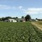 Crevits Farm, Light Line Vienna