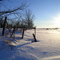 Perfect Winter Day