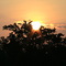 Sun Rise