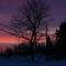 Sun Rise