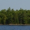 plane is rt. of centre near tree tops.