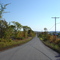 Bidwell Drive