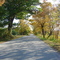 Sheguindah Drive