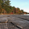 Shore of Lake Joseph, Muskoka