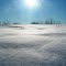 Torrance Barrens Winter