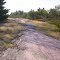 Torrance Rock Barrens