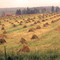 Grain stooks in Mennonite country