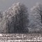 after the ice storm, snow in the air