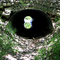 Tunnel Bird