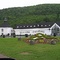 Glenora Distillery, Glenville, Nova Scotia 004