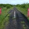 Trans Canada Trail