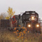 OC 1865 approaching Hawkesbury