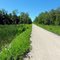 North to Port Orillia Bike Trail Wetlands