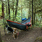 Hammock camping at the salmon river.