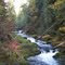Salmon Creek